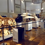 Il Mondo di Leonardo Exhibition2 - Events