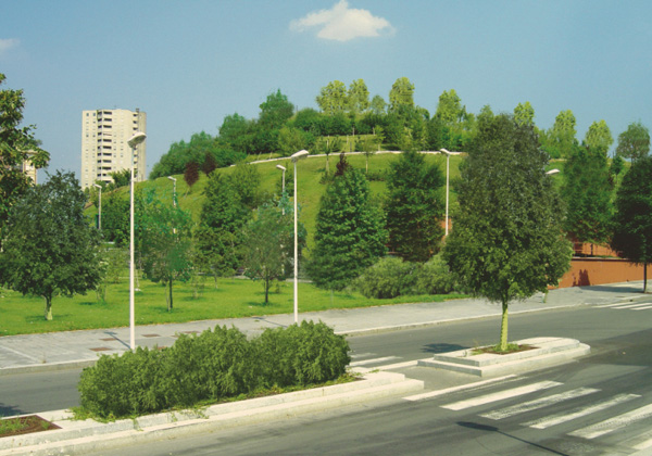 Montestella, montagnetta San Siro