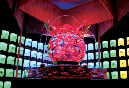 Milan_Art-Aquarium-a-Tribute-to-Japanese-Culture